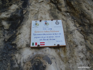 stoleone-09-08-2020 10